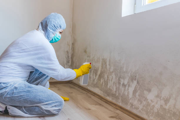 Mold Remediation specialist working in Bentonville