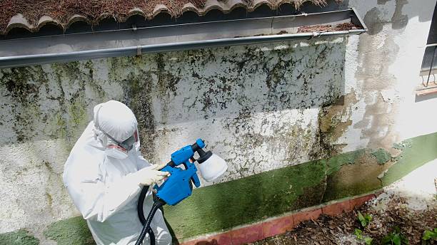Mold Removal service in Bentonville